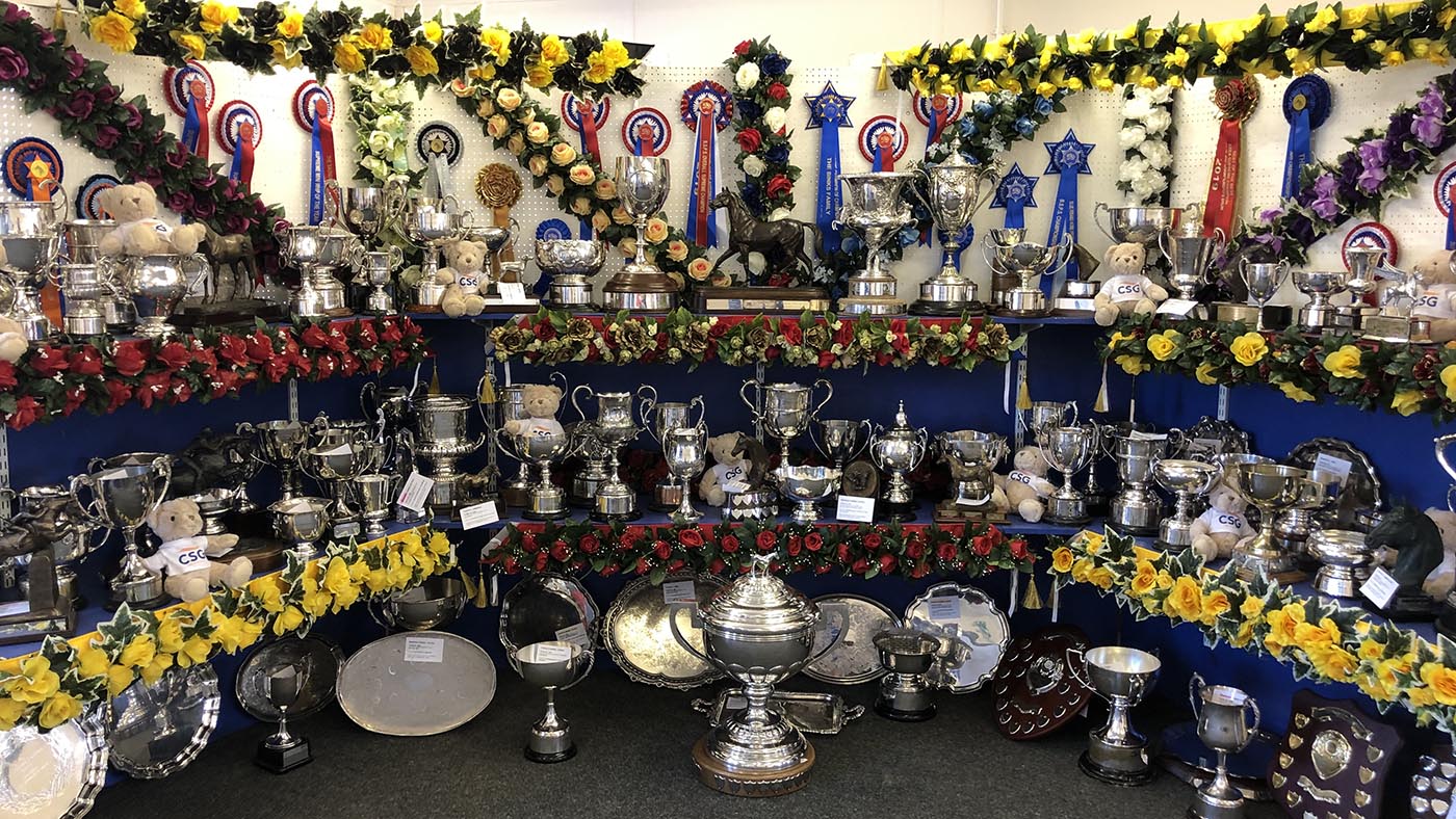 show-pony-trophies