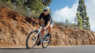 Wilier Filante Hybrid e-bike