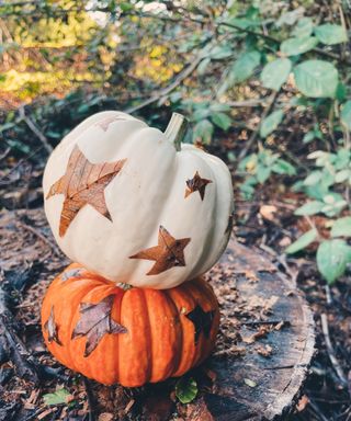 Easy no-carve pumpkin ideas with white and orange pumpkins decorated with decoupaged leaves cut into star shapes
