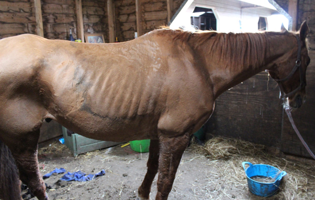Humphrey-prior-to-being-removed.jpg