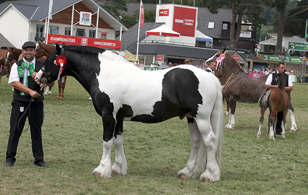 Royal Welsh Show 2018