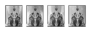 ﻿’Narcissus 11,12,14,10’ by Stuart Franklin, 2010. Four of the same rorschach images in a row.