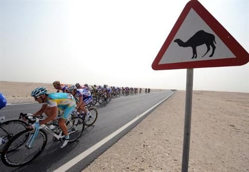 There were no camels but plenty of echelons in Qatar