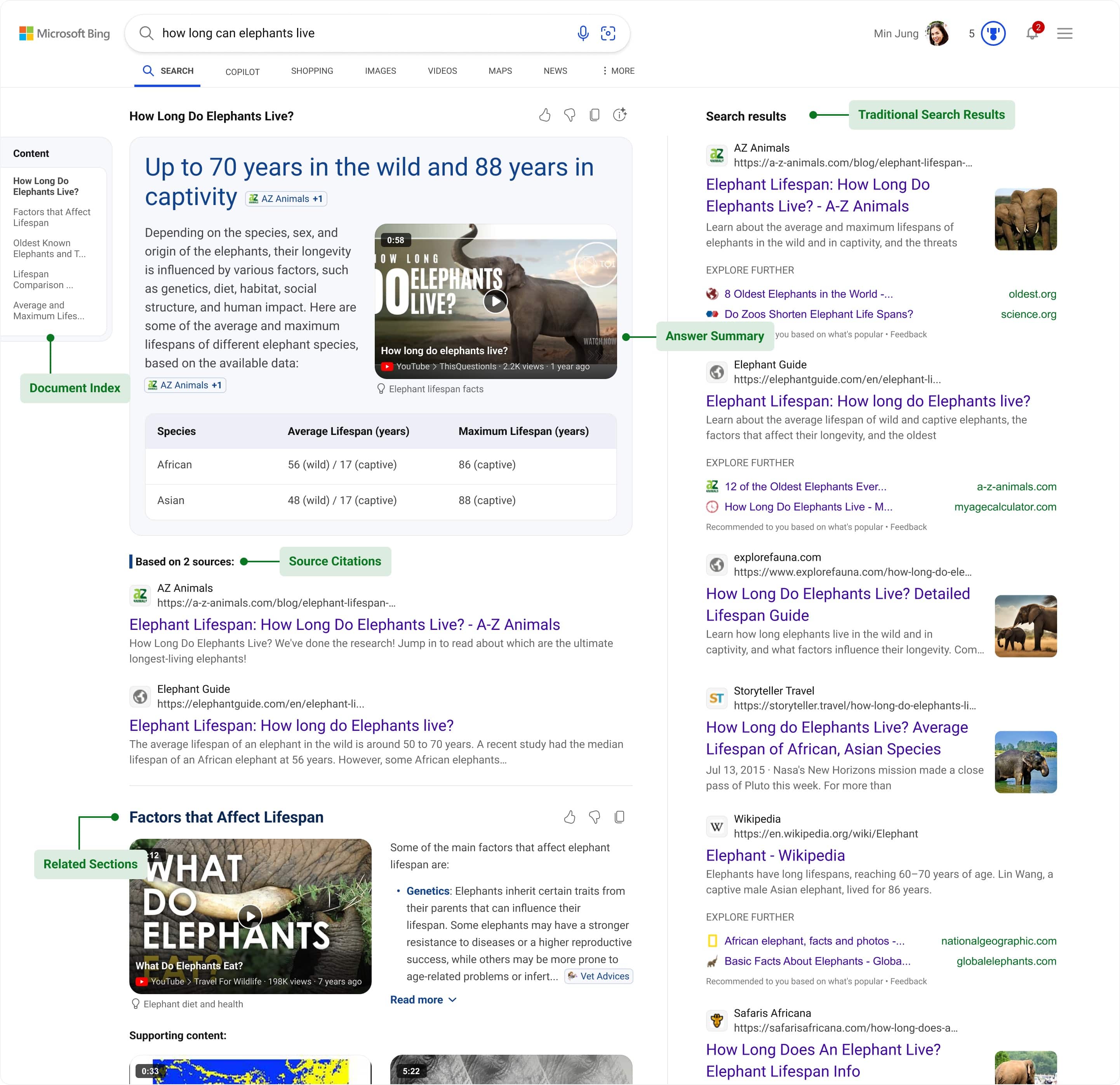 The new Bing search page with AI