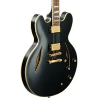 Epiphone Emily Wolfe Sheraton Stealth