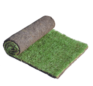 a product cut out shot of a roll of Lawn turf