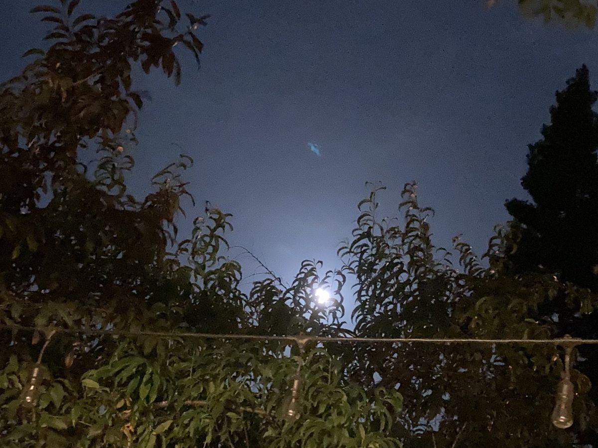 Taken on iPhone SE Night Time