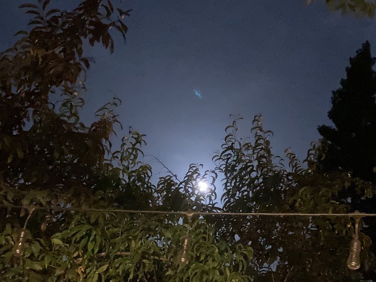 Taken on iPhone SE Night Time