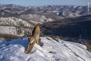 Winning image from the 60th Wildlife Photographer of the Year competition