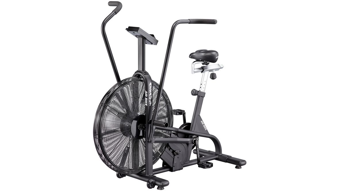 the assault airbike