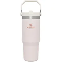 Stanley IceFlow Flip Straw Tumbler with Handle 30 oz