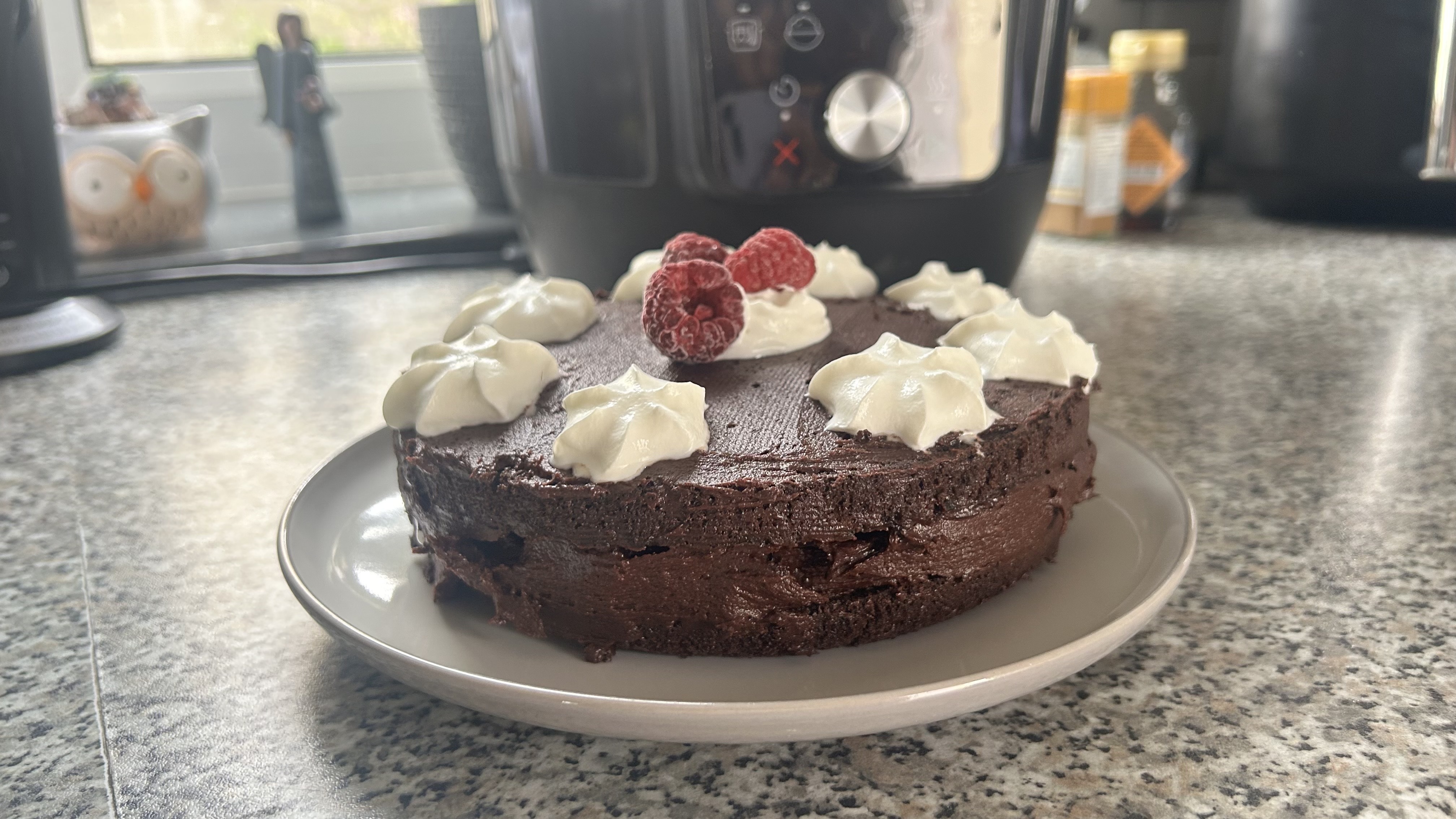Chocolate fudge cake cooked using the Instant Pot Plus.