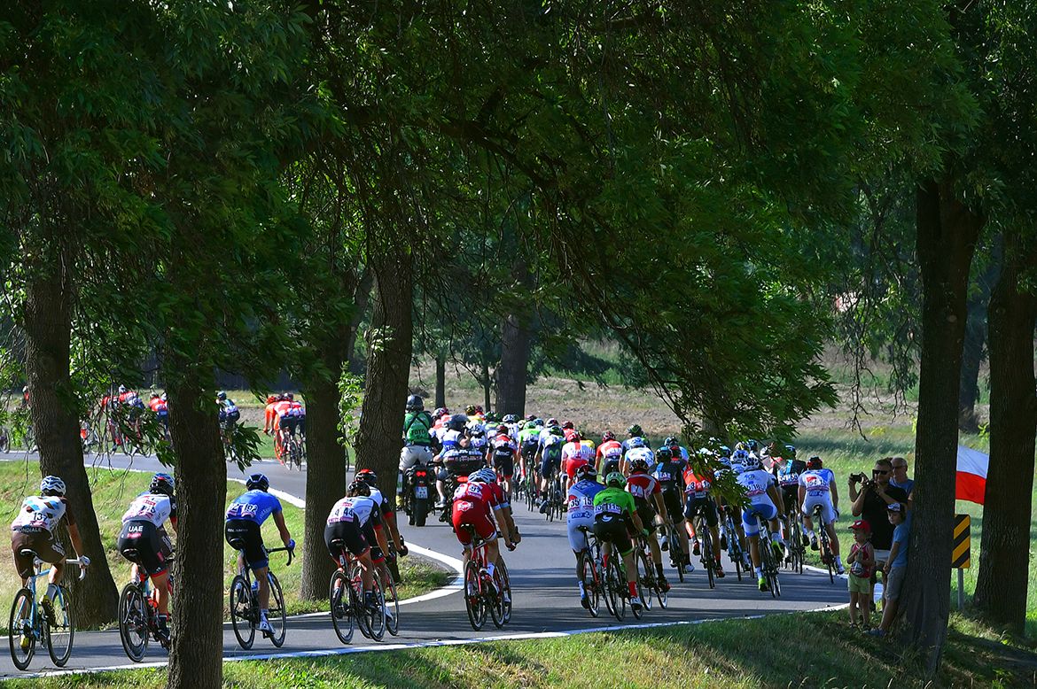 The peloton pass through under the shade of the trees