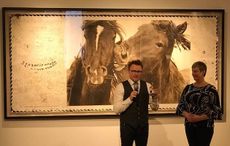 equus film festival