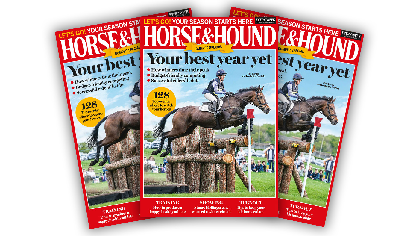 Showguide2