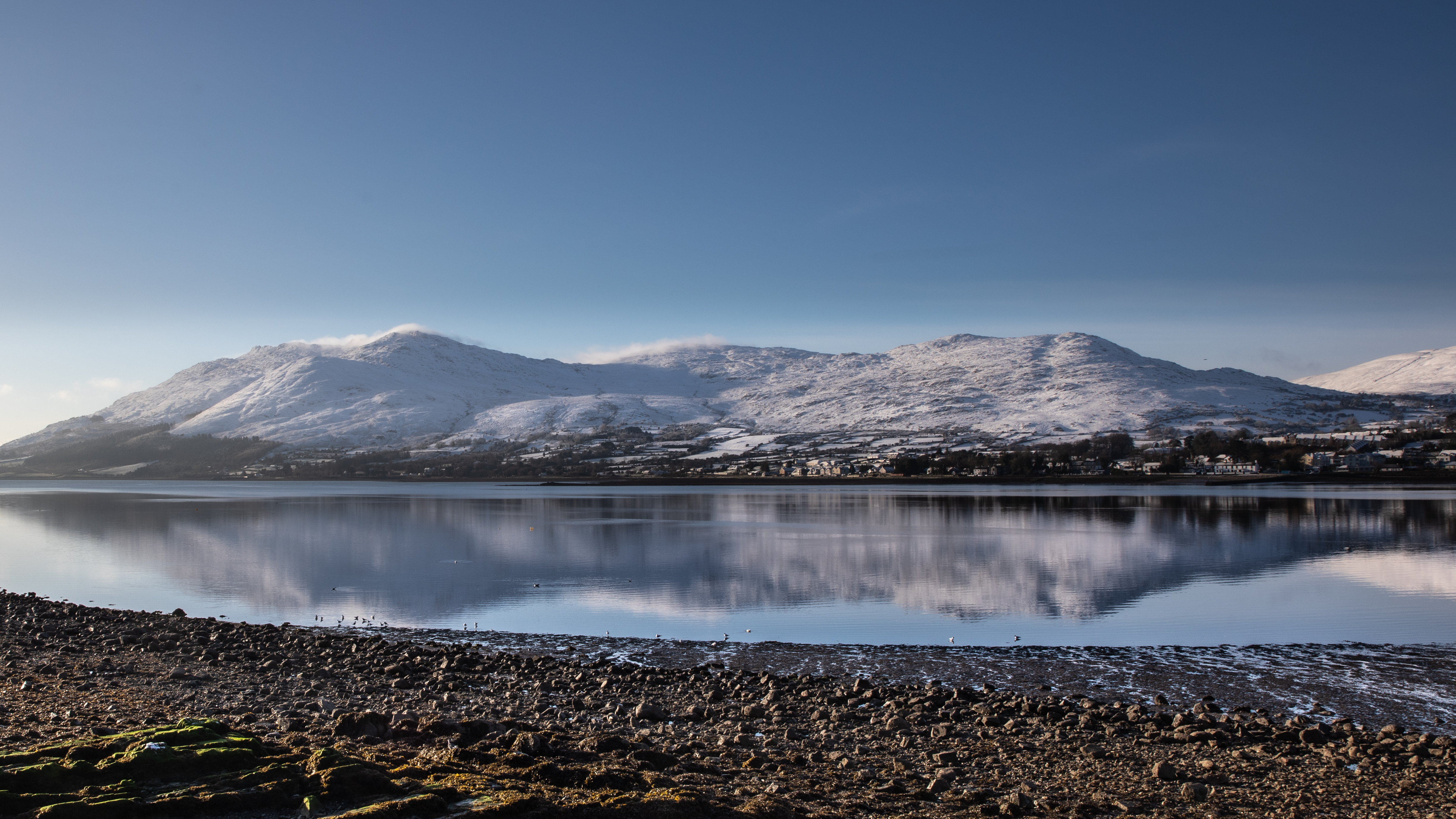 GuruShots - February 2026