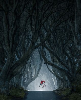 Masterpiece by EyeEm:&nbsp;Lorenz Holder, Germany, for his shot of Senad Grosic flying in the magical&nbsp;Game of Thrones location, The Dark Hedges, Northern Ireland.