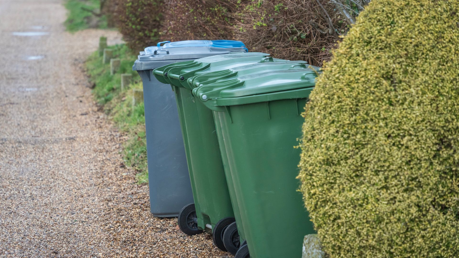 uk garden wheelie bins outside of home