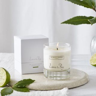 spring candle with lemons and white background