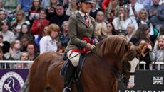 Welsh-C-CH1_2795-copy-scaled-1.jpg