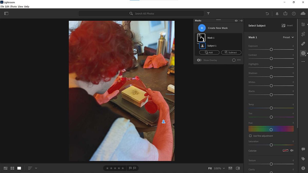 Screenshot of subject selection in Lightroom