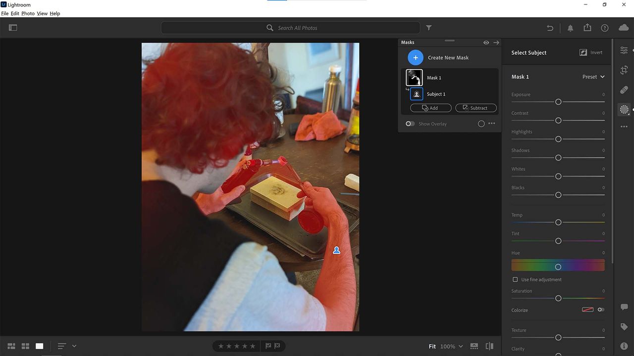 Screenshot of subject selection in Lightroom