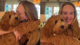 Adele's dogs with her on Instagram live session