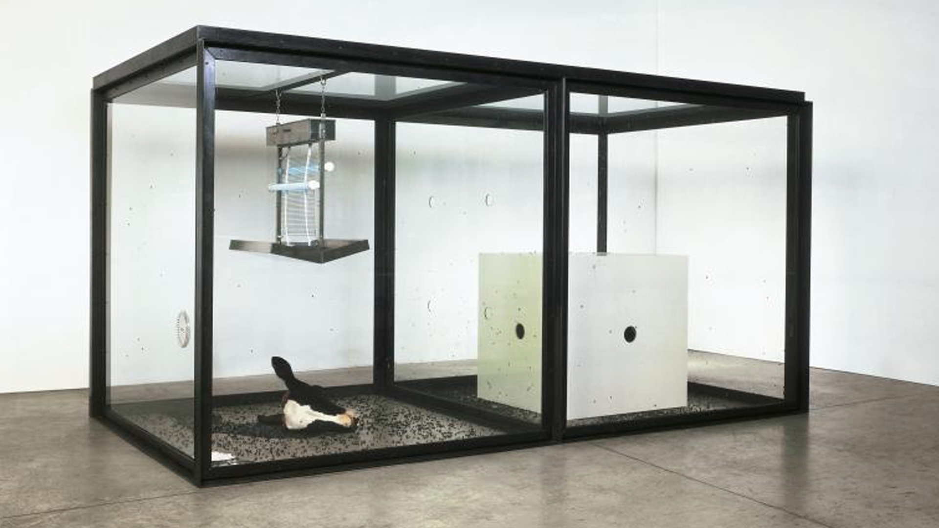 Surprise, surprise, Damien Hirst has upset someone else | Creative