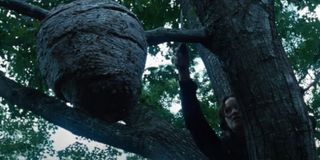 Katniss encounters a tracker jacker nest in The Hunger Games