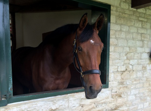 laura-b-horse2.jpg