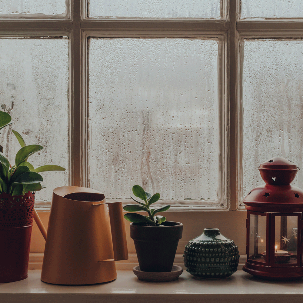 window sill with plant pot and jug and lamp