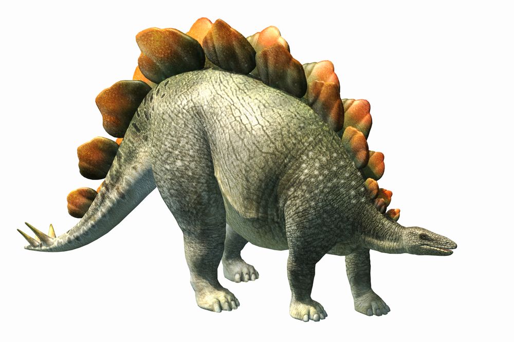 stegosaurus lived