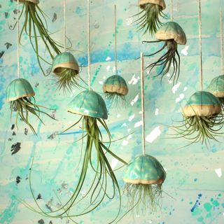 Blue jellyfish air plant hangers