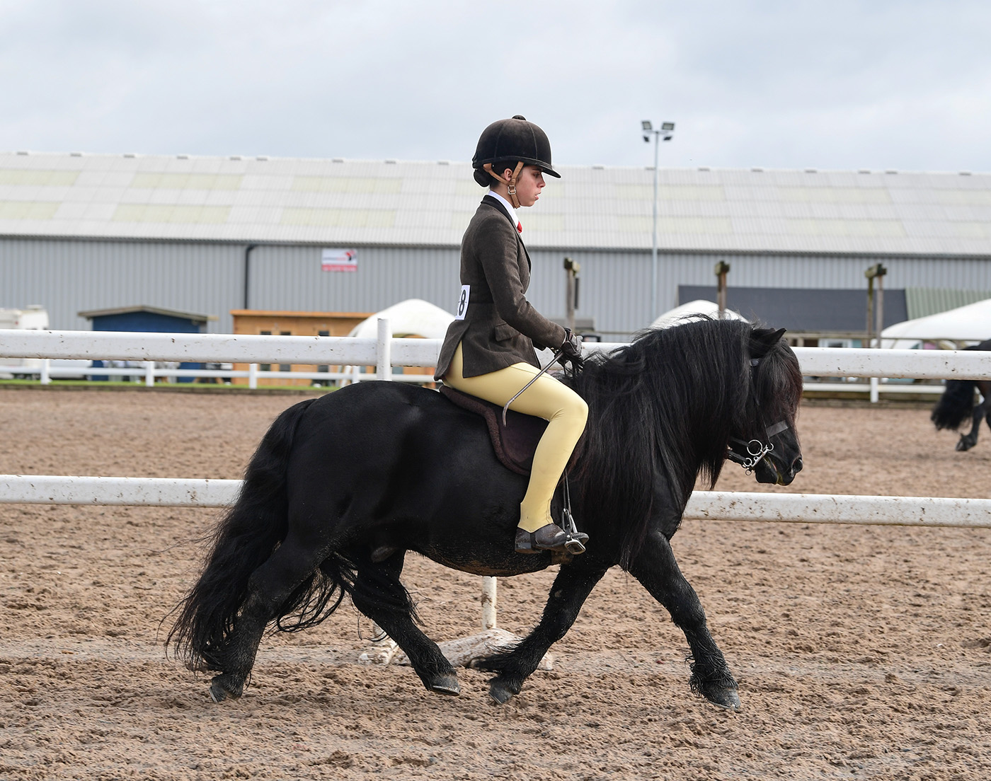 Heritage Show 19.10.24
