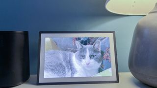 Lexar Pexar picture frame