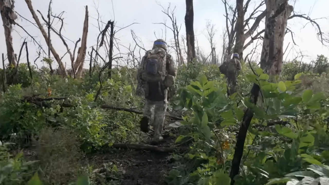 two soldiers from behind walk through a bombed out forest.