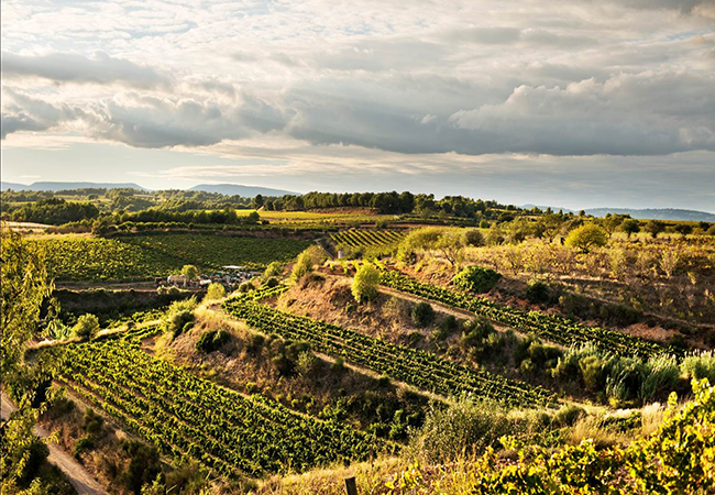 Cava wineries, Gramona