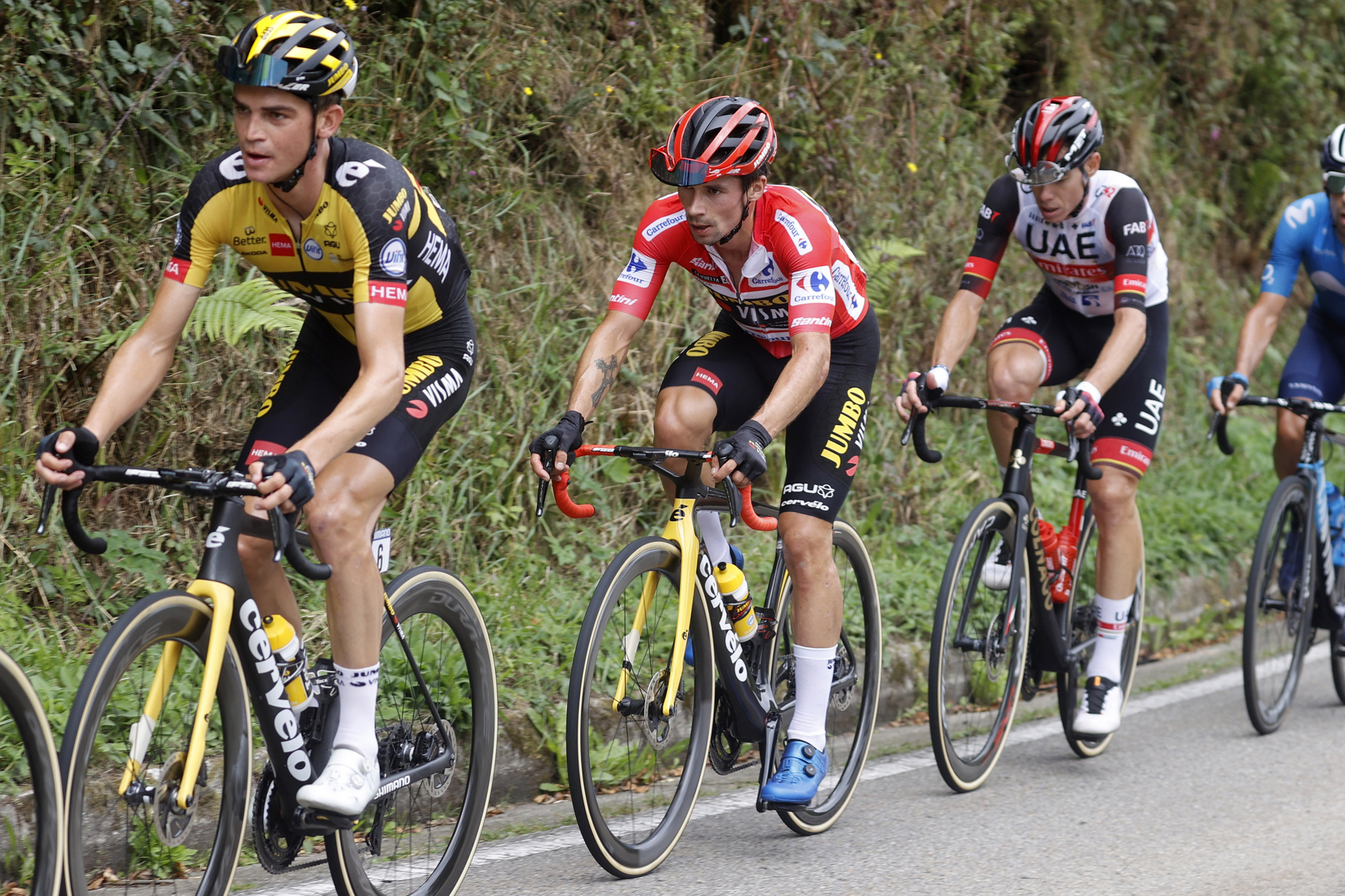 Vuelta Espana 2021 - 76th Edition - 19th stage Tapia - Monforte de Lemos 191,2 km - 03/09/2021 - Primoz Roglic (SLO - Jumbo - Visma) - photo Luis Angel Gomez/BettiniPhotoÂ©2021