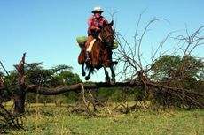 Tristan-riding-Cancan-in-Amboseli-e1537890169106.jpg
