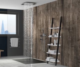bathroom with large shower head, glass screen and wooden panelling with ladder style shelving