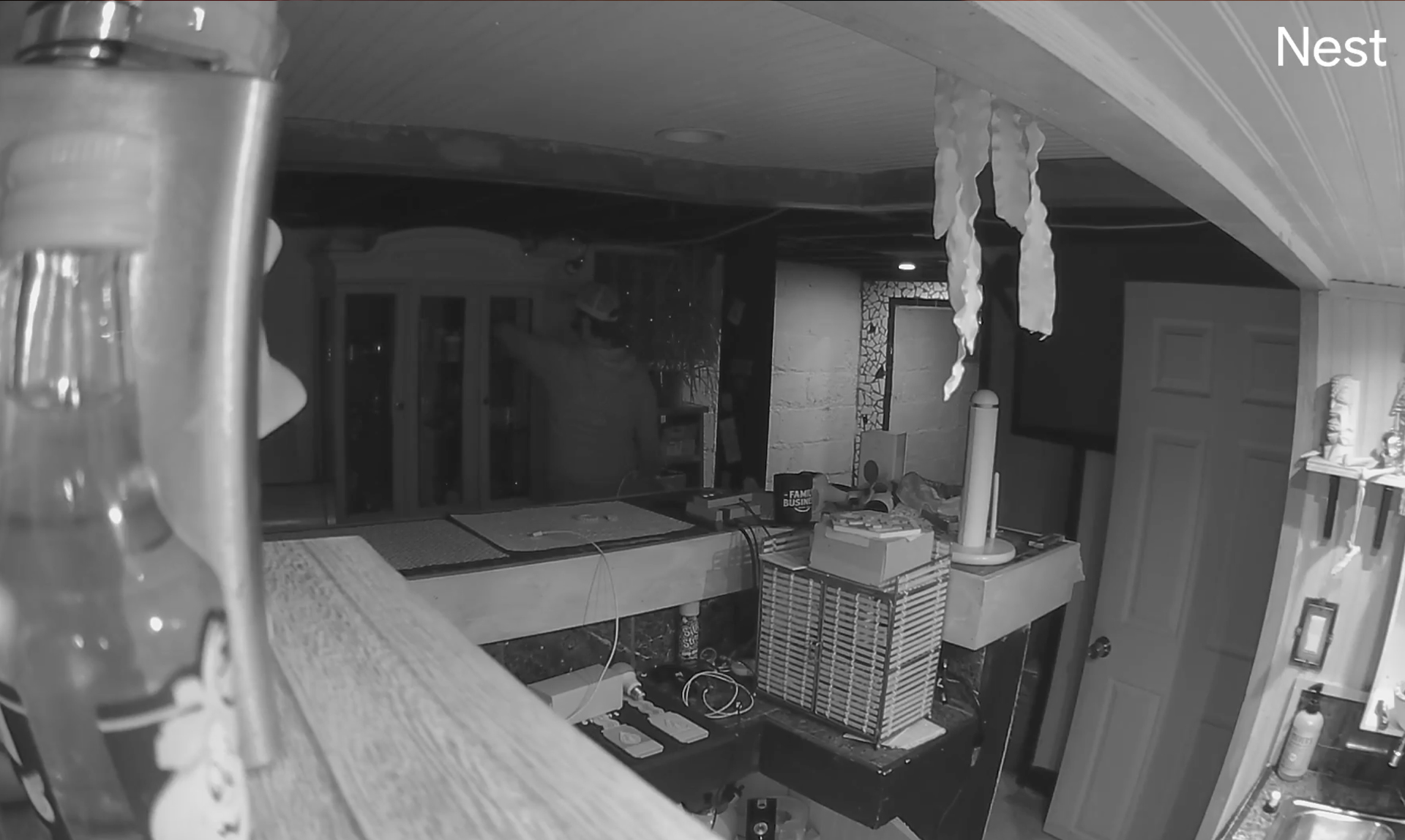 Nest Cam (indoor, wired) screen grab infrared