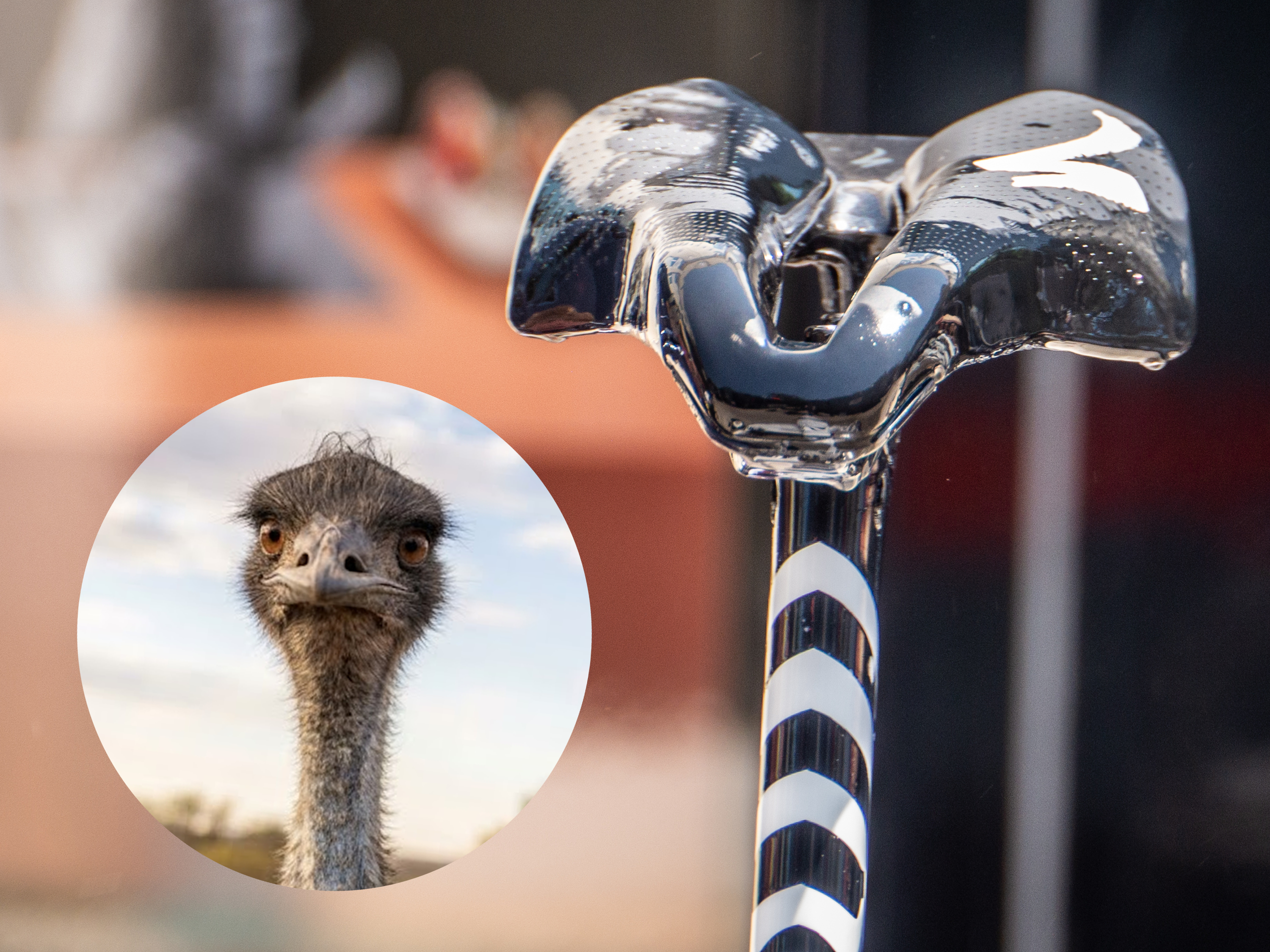Tech randoms from the Tour de France – Techy, silly and curious finds from the biggest race in the world