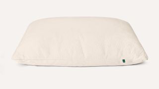 Best pillows for sleeping: Birch Organic Pillow