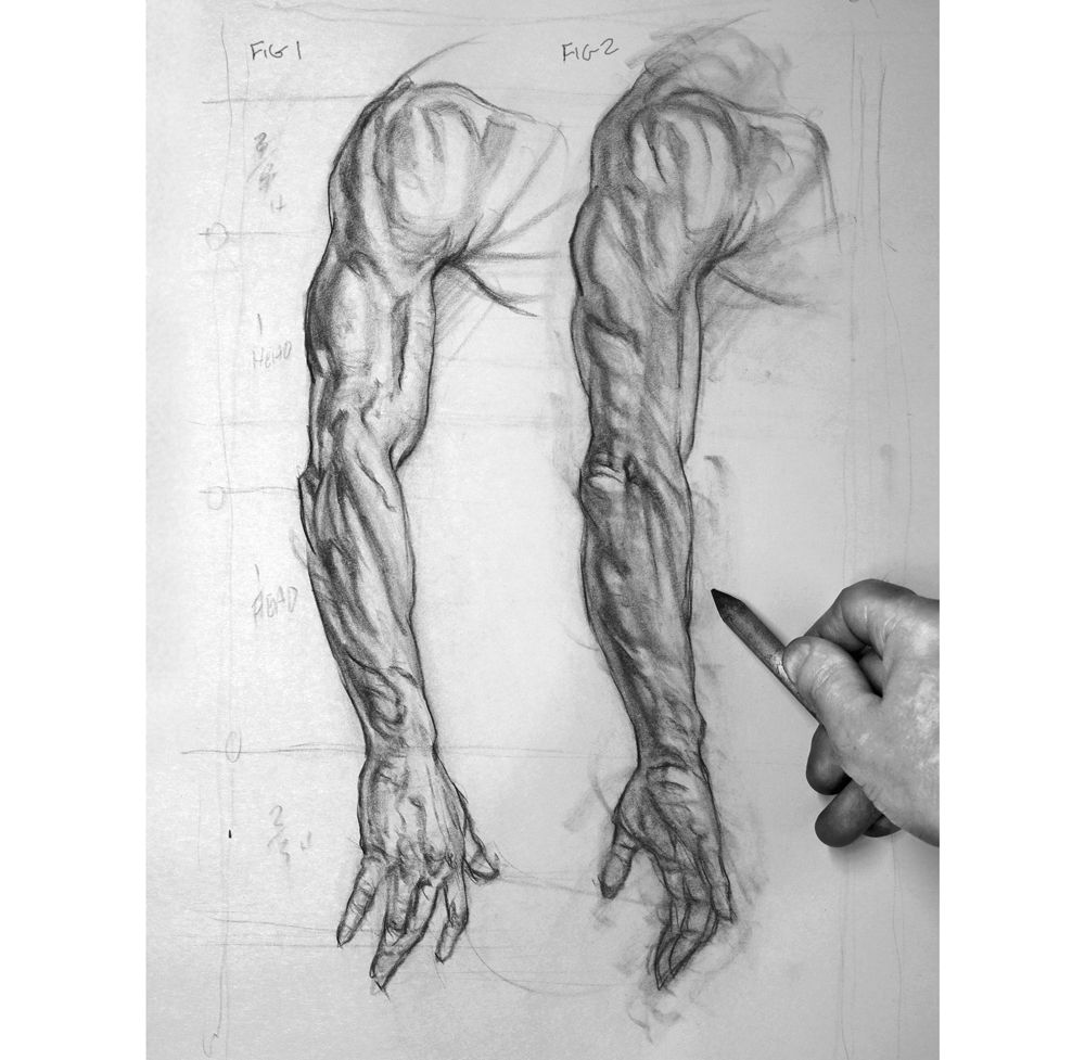 Featured image of post Realistic Bicep Drawing Improve your knowledge anytime and anywhere with online courses taught by the best professionals in the design and