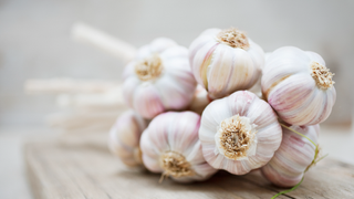 Garlic bulbs