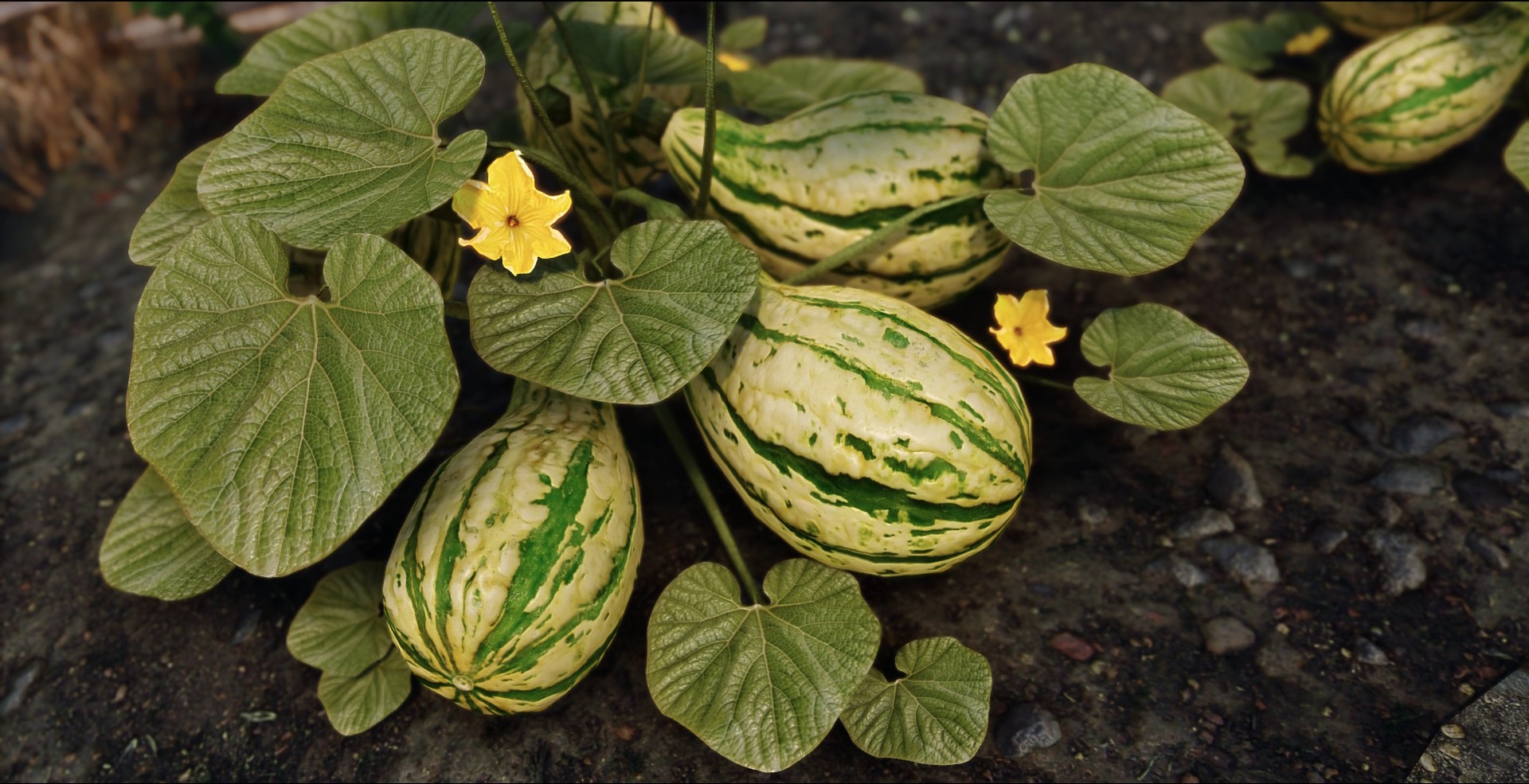 realistic model of a gourd modded into The Elder Scrolls Skyrim