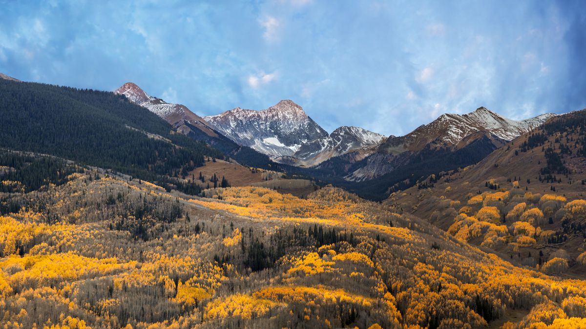 The fall colors turn the forests golden at the foot of Cathedral Peak Colorado