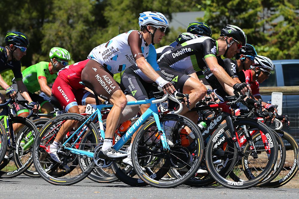 The peloton in action during stage 4 at the Tour Down Under.