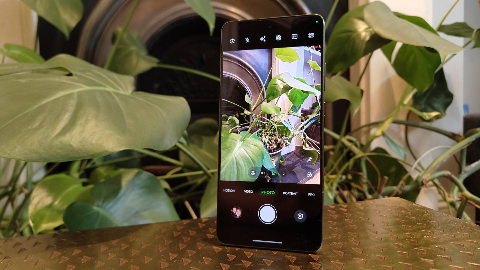 The Motorola Edge 70&#039;s camera app, while the phone is pointed to plants.