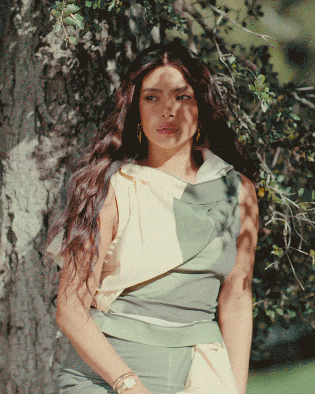 Priyanka Chopra Jonas